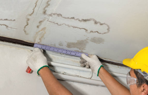 Reliable Water Damage contractor in North Baltimore, OH by Water Damage Irwin